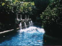 Laguna pool2
